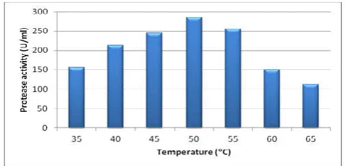 Fig. 3. Effect of moisture content on protease production by Bacillus sp. MPTK 712  