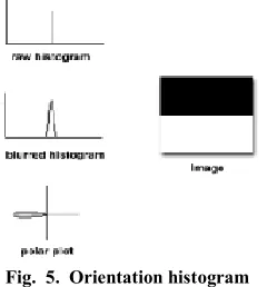 Fig.  5.  Orientation histogram 