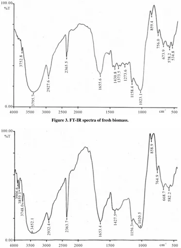 Figure 3. FT-IR spectra of fresh biomass. 