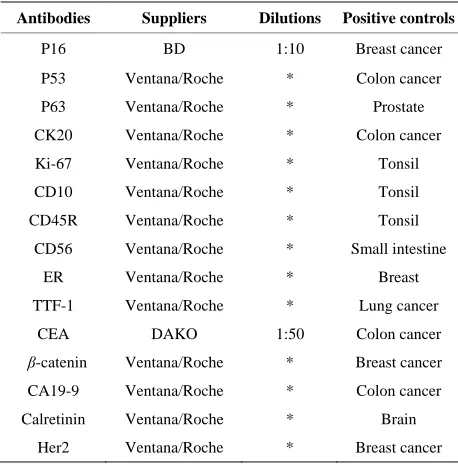 Table 1. The antibodies used in this study, their suppliers, dilutions, and positive controls