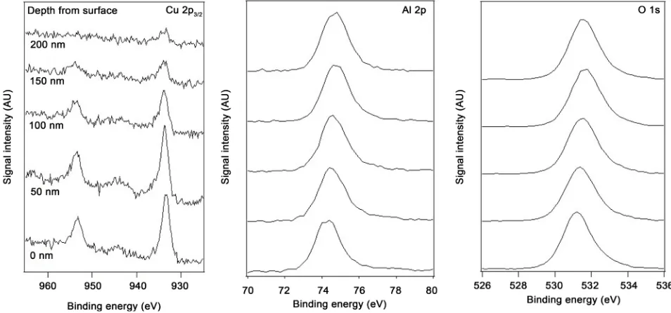 Figure 5. Depth profile of atomic concentration for the sample annealed at 1000˚C for 5 h