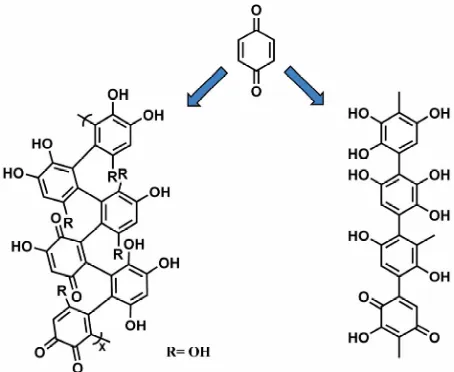 Figure 1rived from the degradation of the aromatic ring during 