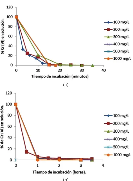 Figure 5. Time-course of Cr(VI) decrease and Cr(III) pro- duction in solution with 1.0 mg/L Cr(VI) (100 rpm, 28˚C, pH 4.0)