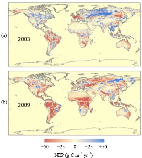 Figure 6. Global predicted biomass burning fluxes of CO2resolution. in 2009. Units are g C m−2 yr−1 gridded at 0.5 degree spatial  