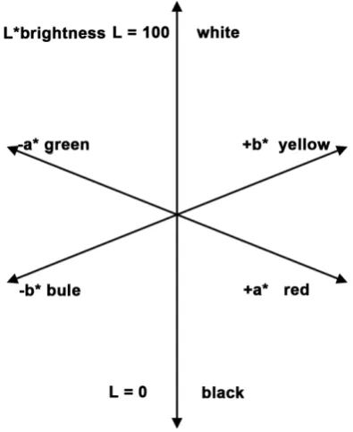Figure 2. The conception of CIELAB. 1. brightness L* = 0 (black) to L* = 100 (white), 2