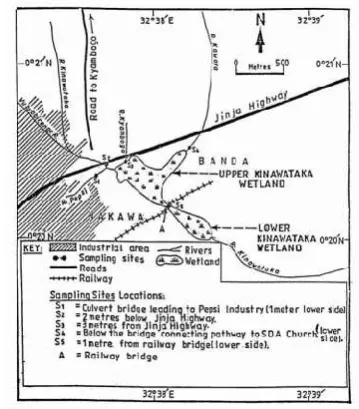 Figure 1: Sampling sites in the inflow and outflow streams of Kinawataka wetland 