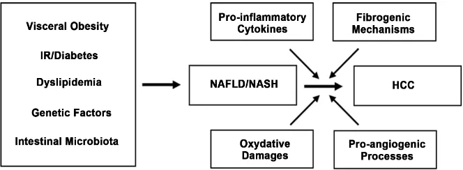 Figure 3. Metabolic Syndrome, NAFLD/NASH and risk of progression to HCC. 