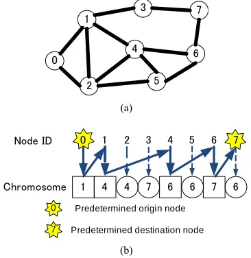 Figure 3(b)Thus, the chromosome defined here consists of two 