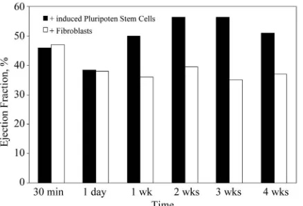 Figure 5. Effect of nuclear reprogrammed fibroblasts on left ventricular function following myocardial infarction