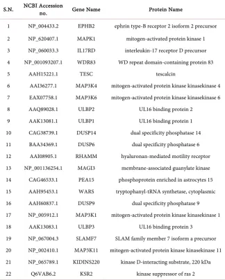 Table 1. Interacting proteins of ERK retrieved from STITCH and STRING. 