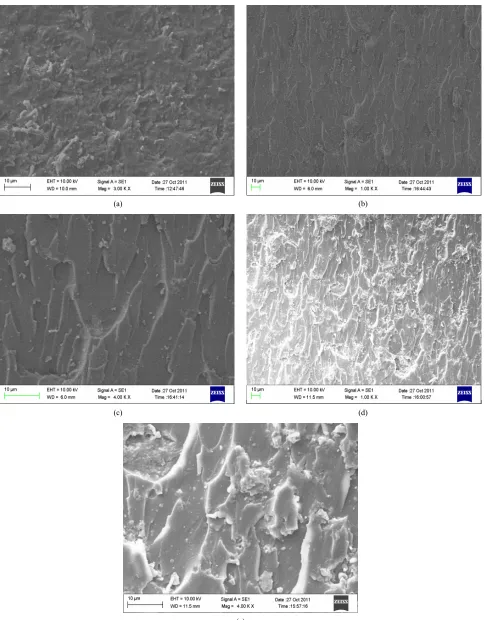 Figure 13. SEM images of: (a) neat epoxy, (b), (c) epoxy with 20% surface-treated micro AlN and (d), (e) epoxy with 20% unsurface-treated micro AlN
