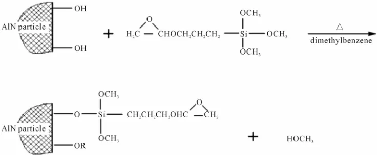 Figure 1. The schematic reactions of AlN particles and silane.  