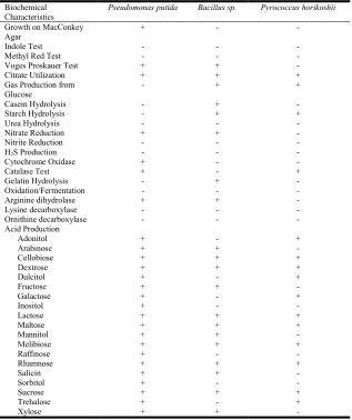 Table 1. Morphological Characteristics of the isolated halobacteria    