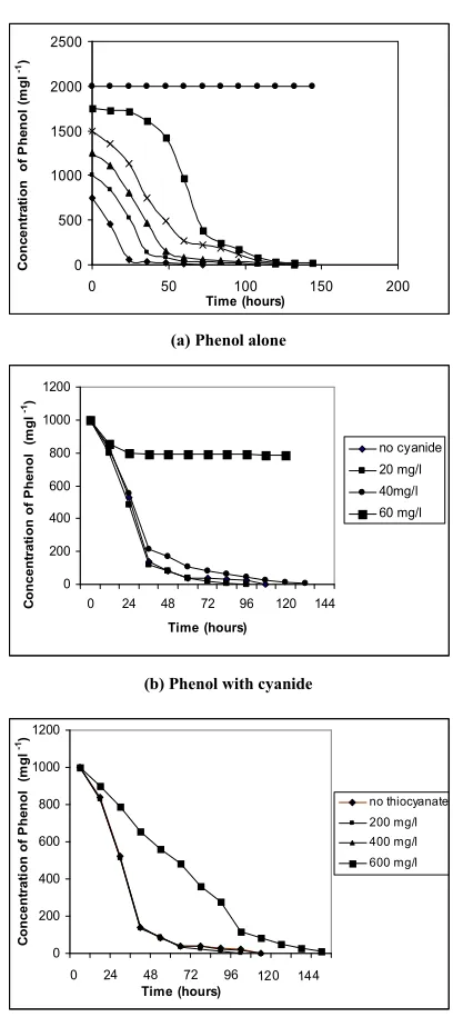 Fig. 2. Biodegradation of phenol by Bacillus sp. 