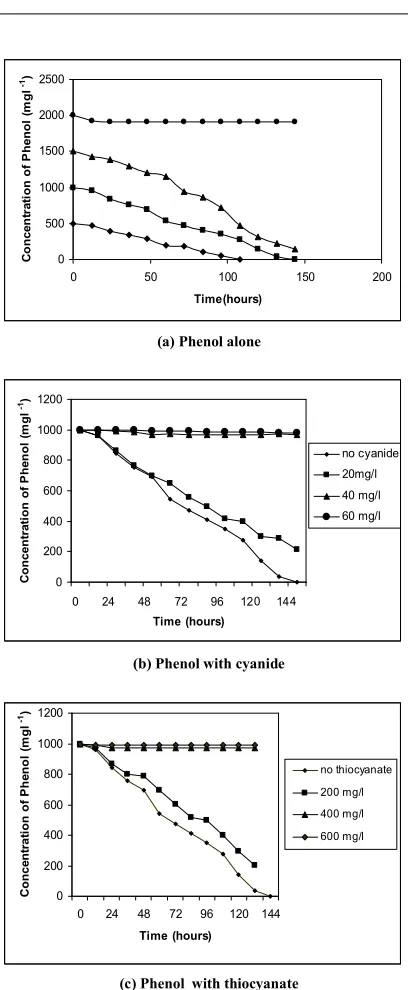 Fig. 3. Biodegradation of phenol by Pyrococcus horikoshii 