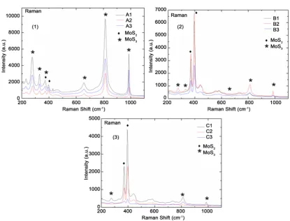 Figure 2. Raman spectra of group A(1), B(2) and C(3). 