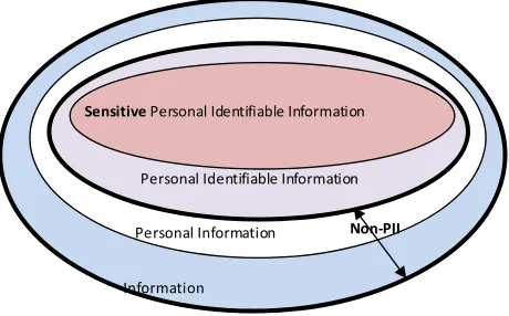 Figure 1. Information and PII. 