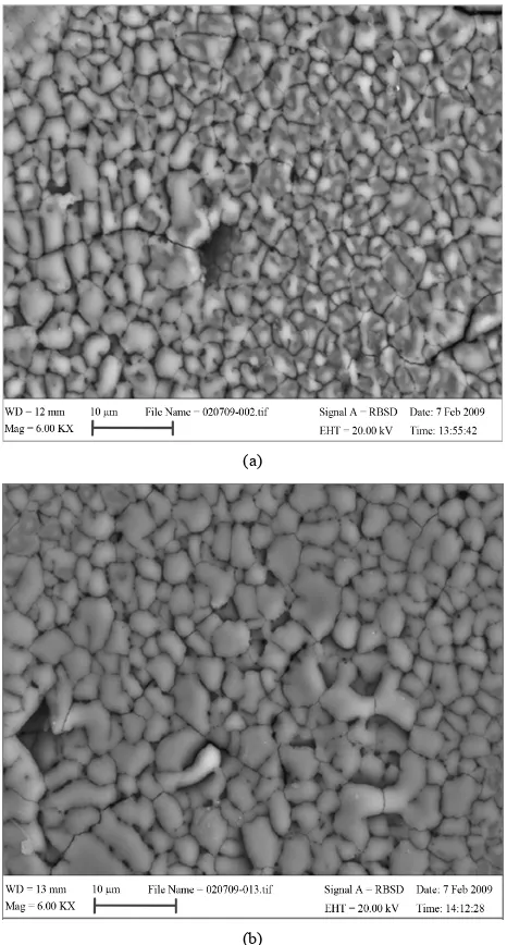 Figure 5 shows the surface morphologies of AT-13 coat- ings irradiated at fluence of 800 mJ/cm2 with two differ-