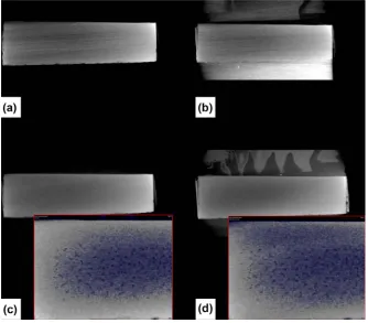 Figure 8. Computed tomographic images of specimen D97—computed tomographic data before (a) image in the middle of bonding layer) and after climate loading (TF) of 10 days (b) image in the middle of bonding layer with blue highlighting of density dif-ferenc