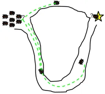 Fig. 3. Ants choose the shortest path. 