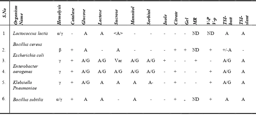 Table 6.  Dominant bacterial species in intestinal zones of   Bombyx mori  larvae fed on Mulberry leaves   