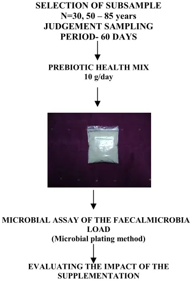 Fig. 1. Schematic representation of the suppplementation 