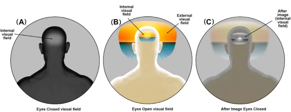 Figure 3. Visual fields of the default space. (A) Appearing dark and with fuzzy boarders, the intra-personal visual space allows for oscillations maintain the experience of external visual space; (B) The seamless integration of binocular vision when viewed