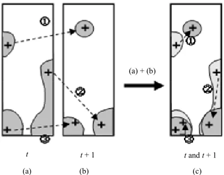 Figure 6 shows tracks illustrating the formation process of the normal two-cell mode (N2)
