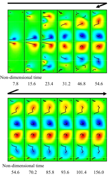 Figure 7. Flow development of A4. (Re: 650, Γ: 4.2). 