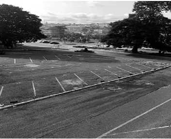 Figure 4 shows the image of an empty minor section of a test park-ing area.