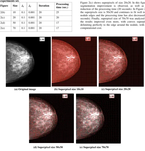 Figure 2(c) shows superpixels of size 20x20. In this figure a segmentation improvement is observed, as well as the reduction of the processing time (20 seconds)