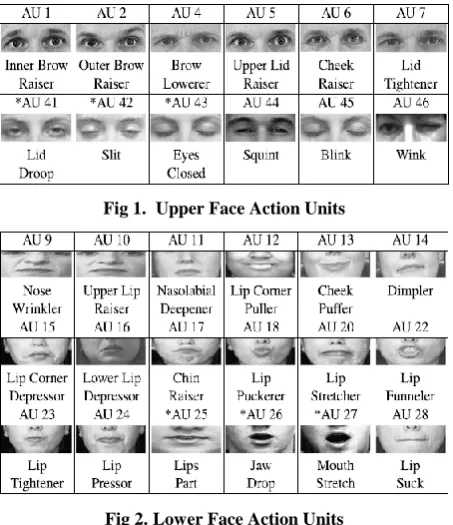 Fig 1.  Upper Face Action Units 
