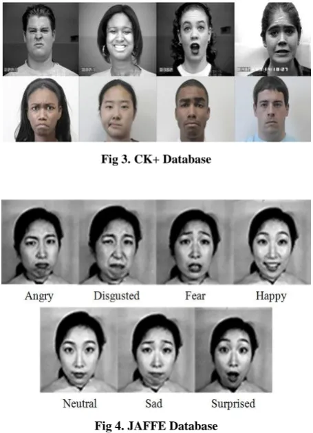 Fig 3. CK+ Database 