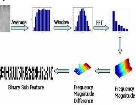 Fig 3: Procedure of patch coding 