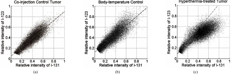 Figure 1. Sample DAR images illustrating image subtraction. 131the HT29 tumor was treated with 41.5˚C water for 45 minutes before the second injection