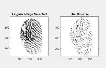 Figure 6: Original Image Selected and the Minutiae 