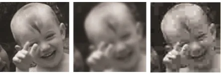Fig. 1.Original image, blurred image, compressed image [42]