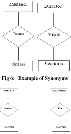 Fig 6:  Example of Synonyms 