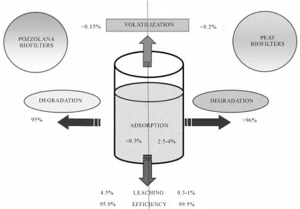Figure 1. Fate of CBs in vertical flow reed beds lab-scale pilots. 