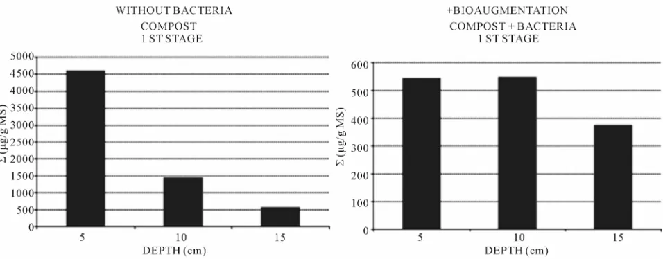 Figure 2. Adsorbed CBs vs depth, example of planted biofiltres pilots. 