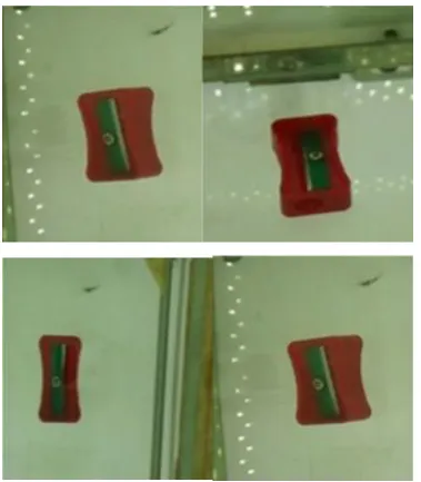 Figure 14- 2D Images of Cashew captured at different angle 