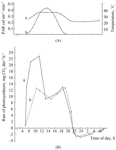 Figure 3. The diurnal pattern of the leaf gas exchange rate in the high productive genotype Komsomolka at the grain filling stage