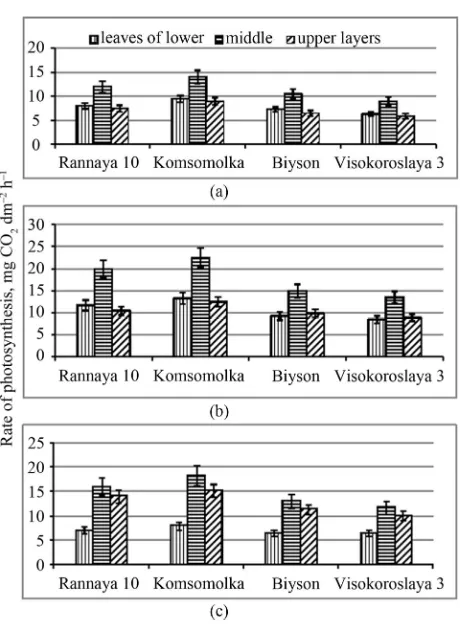 Figure 5. Seasonal dynamics of photosynthesis rate in leaves of different layers of the short-stemmed, high productive (Rannaya), medium-stemmed, high productive (Komsomolka) and long- stemmed, medium productive (Biyson, Visokoroslaya) soybean genotypes: (