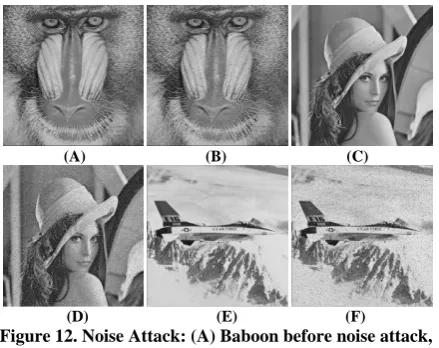 Figure 12. Noise Attack: (A) Baboon before noise attack, (B) Baboon after noise attack, (C) Lena before noise attack, (D) Lena after noise attack, (E) Airplane before noise attack, (F) Airplane after noise attack