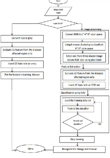 Figure 1: Analytical approach of MLAD 