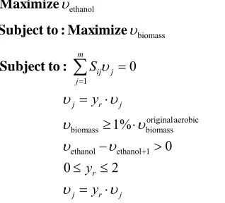 Figure 11) Selection of the initial point: wild type metabolic 