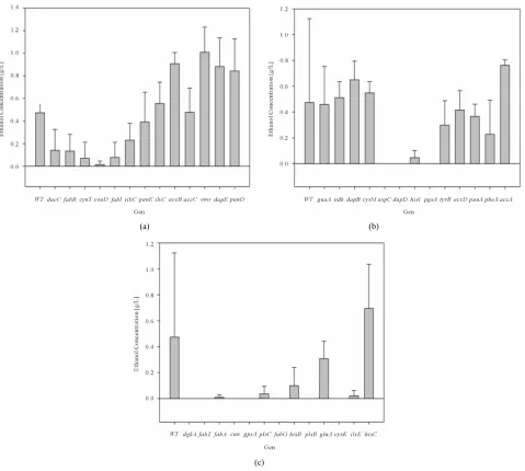 Figure 3. (a) Ethanol Concentration for E. coli pCA24N-coli fermentations at constant lactose dose (2 g/L)