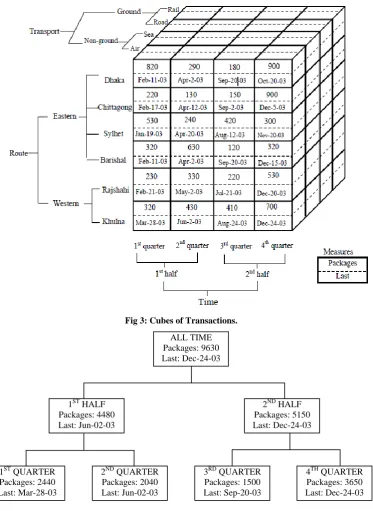 Fig 3: Cubes of Transactions. 