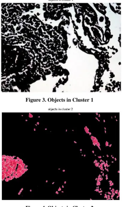 Figure 4. Objects in Cluster 2 