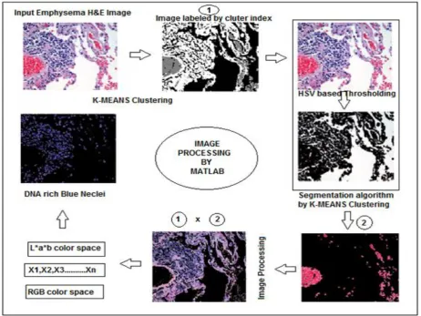 Fig 1: If necessary, the images can be extended both columns 